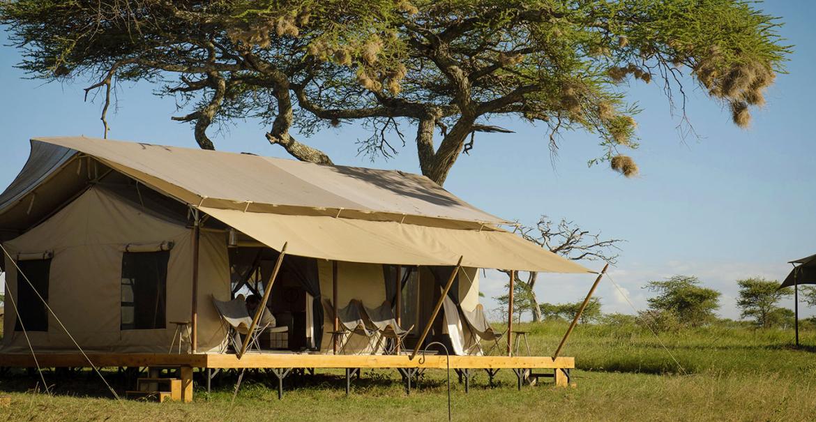 Siringit Serengeti Camp, Serengeti National Park, Tanzania