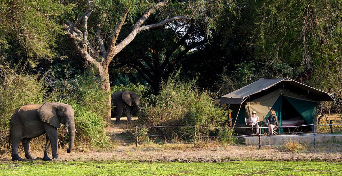 Flatdogs Camp, South Luangwa, Zambia