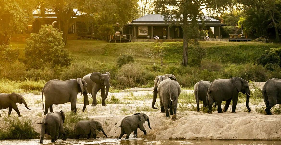 Rattray’s Camp, MalaMala Game Reserve, South Africa