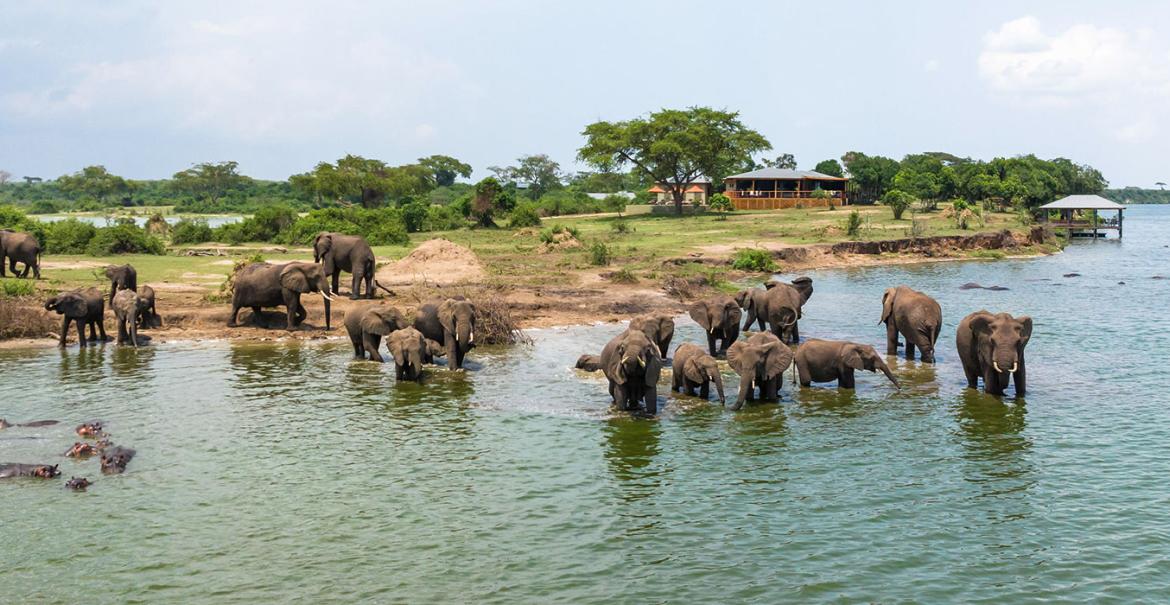 The River Station, Queen Elizabeth National Park, Uganda