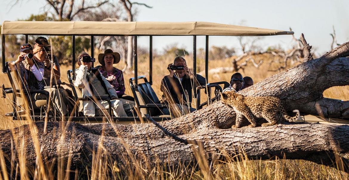 Zambezi to Delta 10-daagse luxe fly-in safari Botswana