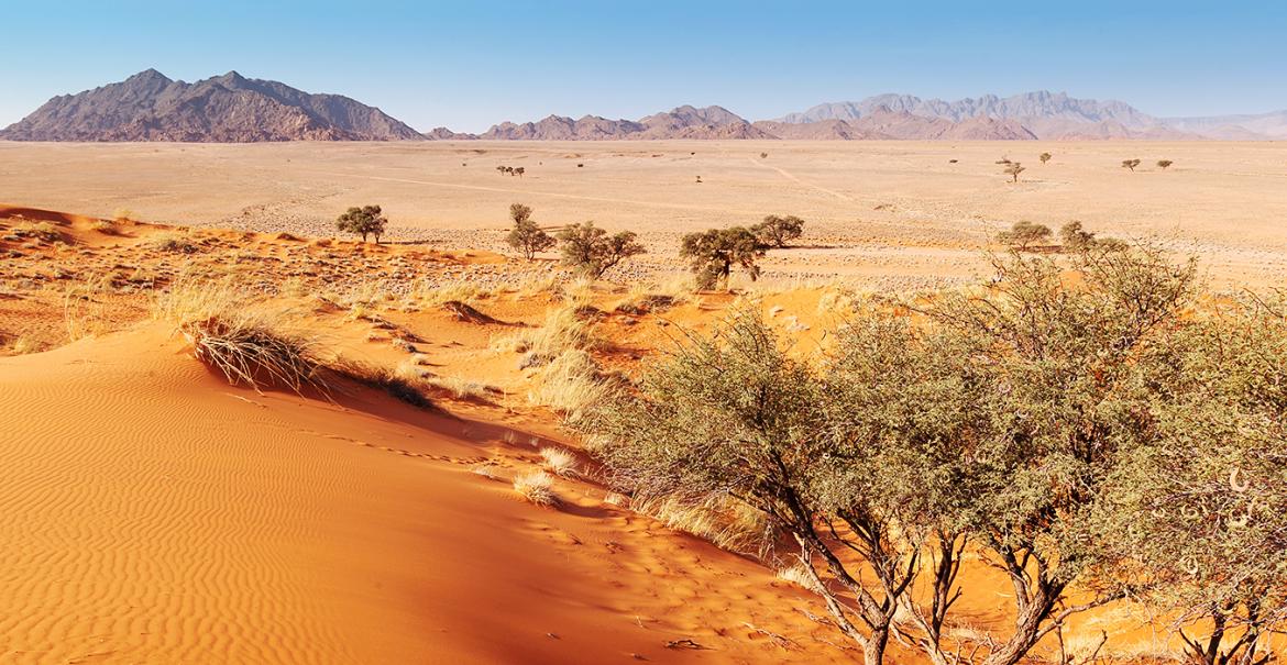 Discover Namibia, 15-daagse self drive