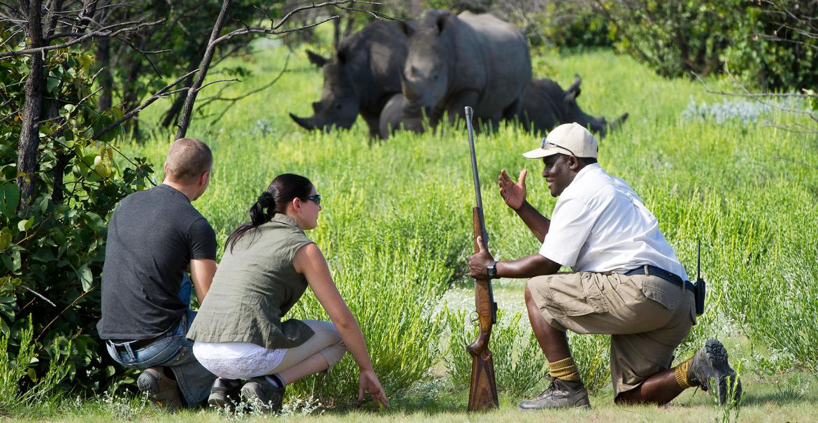 Privé safari Afrika: Een bijzondere belevenis