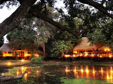 Bilimungwe Bushcamp, South Luangwa, Zambia
