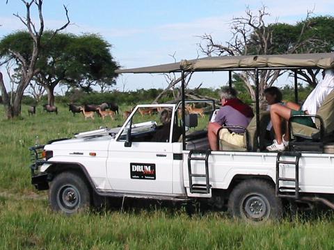 DrumBeat Mobile Camp, Botswana