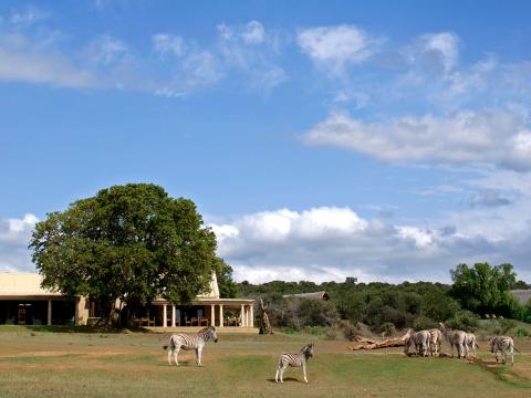 Gorah Elephant Camp, Addo Elephant Park, Zuid-Afrika