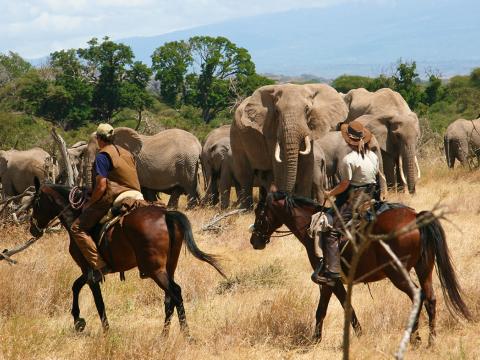 Makoa Farm, Kilimanjaro, Machame, Tanzania