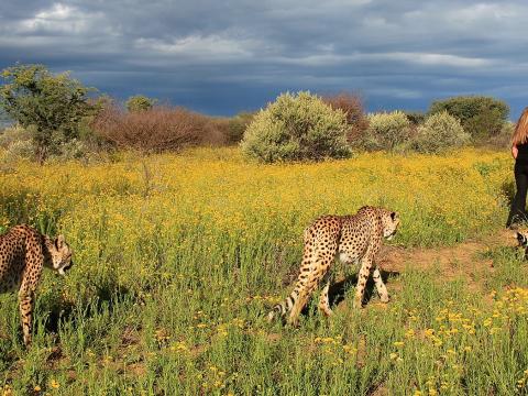 N/a'an ku sê Lodge, Namibië