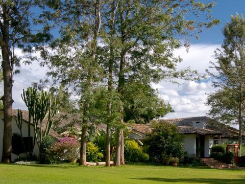 The Plantation Lodge, Ngorongoro, Tanzania