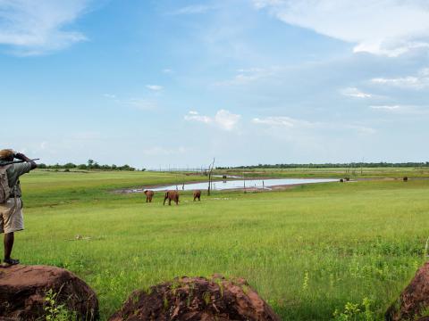 Rhino Safari Camp, Matusadona, Zimbabwe