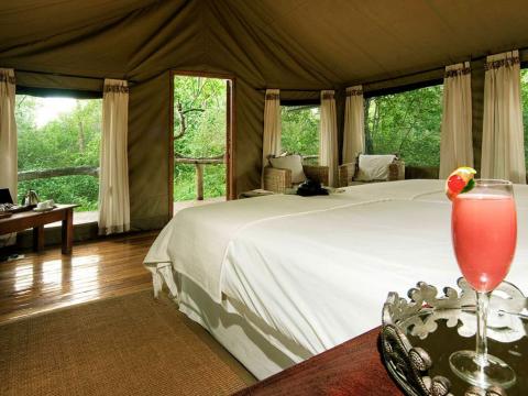 Royal Tree Lodge, Maun, Botswana