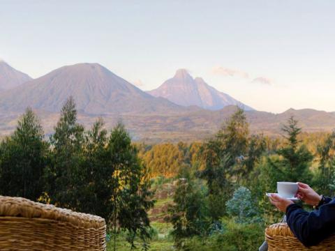 Wilderness Sabyinyo, Parc National des Volcans, Rwanda