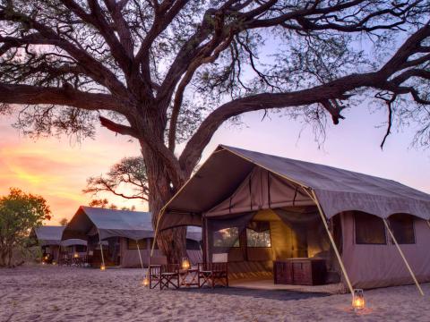 Savute Under Canvas, Chobe, Botswana