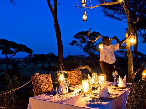 Swala, Tarangire, Tanzania