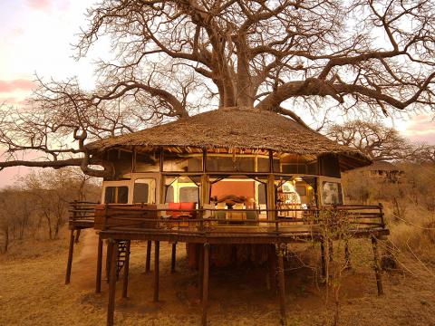 Tarangire Treetops, Tanzania
