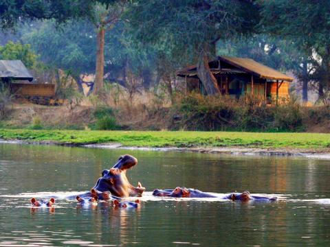 Chongwe River Camp, Lower Zambezi, Zambia