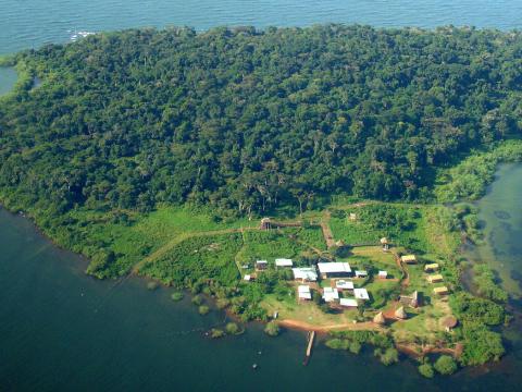 Ngamba Island Tented Camp, Uganda