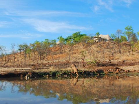 The Elephant Camp, Victoria Falls National Park, Zimbabwe