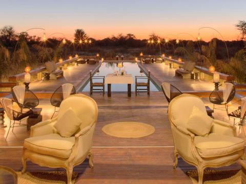Feline Fields, Kalahari, Botswana