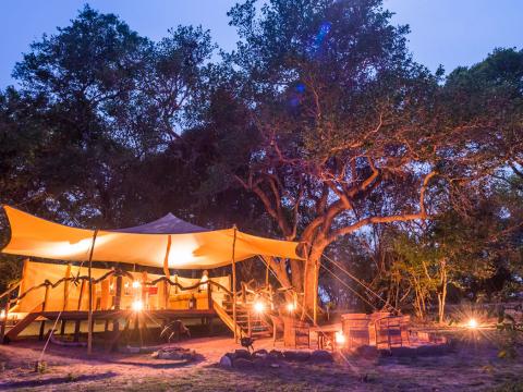 Fig Tree Bush Camp, Kafue, Zambia