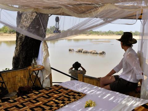 Kaingo Camp, Souyh Luangwa, Zambia