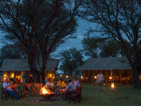 Kimondo Migration Camp, Serengeti, Tanzania