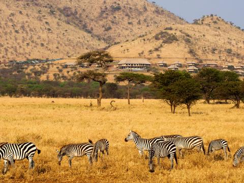 Kubu Kubu Tented Camp, Serengeti, Tanzania
