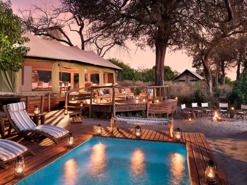 Linyanti Ebony, Chobe, Botswana