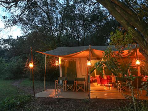 Nairobi Tented Camp, Nairobi NP, Kenya