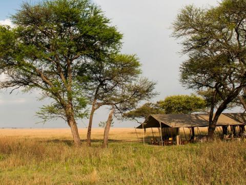 Serengeti Safari Camp, Tanzania