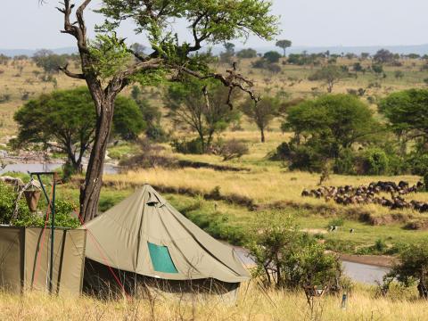 Wayo Green Camp, Serengeti, Tanzania