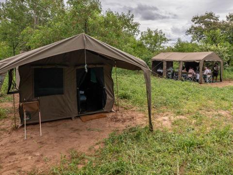 Pangolin Mobile Camp, Chobe, Botswana