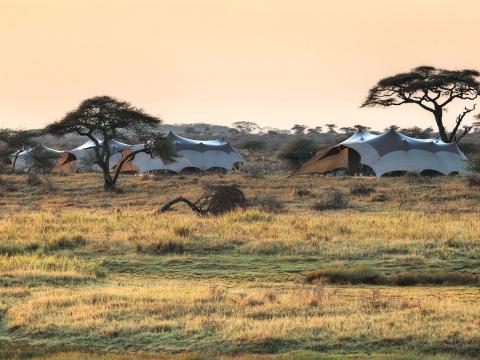 Namiri Plains, Serengeti, Tanzania