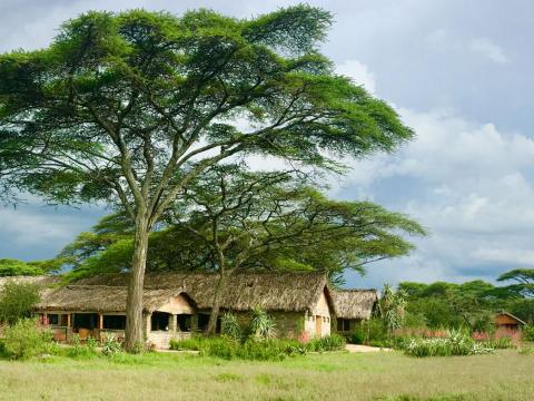 Ndutu Safari Lodge, Ndutu, Tanzania