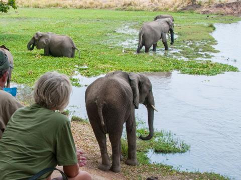 Stretch Ferreira Safaris Tented Camp, Mana Pools, Zimbabwe