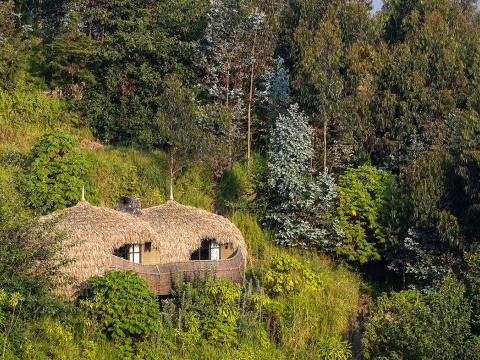 Bisate Lodge, Parc National des Volcans, Rwanda