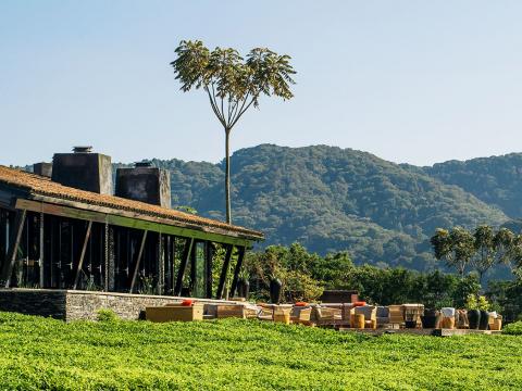 One&Only Nyungwe House, Rwanda