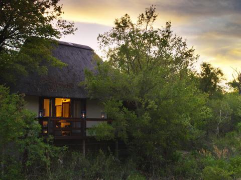 Sabi Sabi Little Bush Camp, South Africa