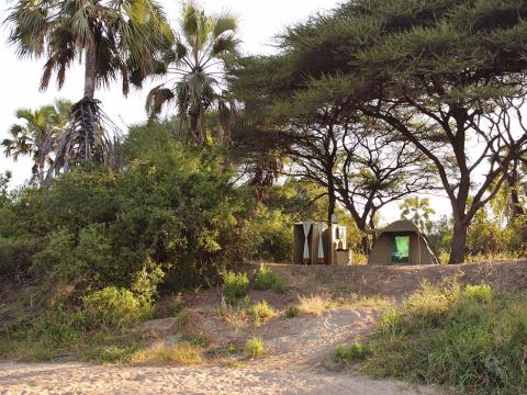 Kichaka Kidogo, Ruaha National Park, Tanzania
