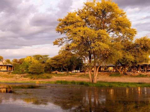 Onguma Tented Camp, Etosha, Namibia