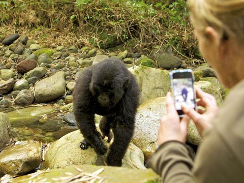 Gorillas, Lakes & Rainforests, Rwanda