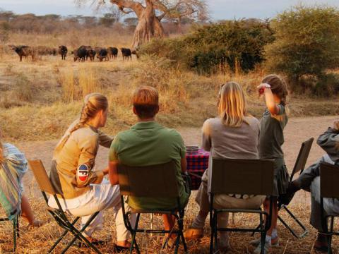 Grand Southern Safari, 11-daagse flyin safari Zuid Tanzania + strand