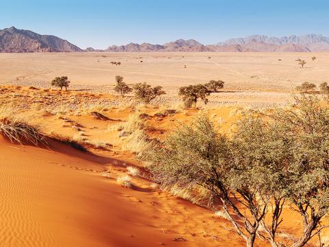 Discover Namibia, 15-daagse self drive