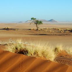 Discover Namibia, 15-daagse self drive