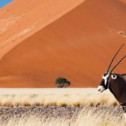 Photo Adventure Namibia, 18-daagse self-drive