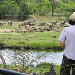 Bush Experience, 9-daagse luxe fly-in safari Zuid Tanzania