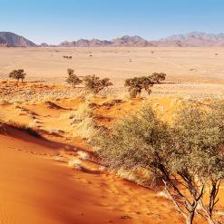 Discover Namibia, 15-daagse self drive