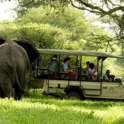 Ultimate Bush Experience, 12-daagse luxe fly-in safari Zuid Tanzania